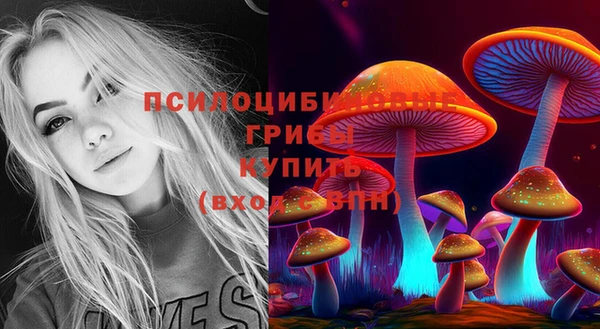 ECSTASY Зеленодольск