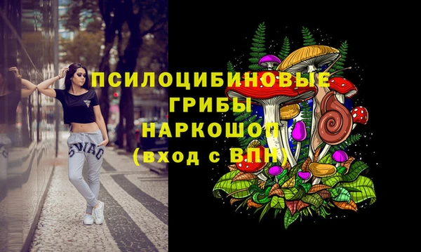 ECSTASY Зеленодольск