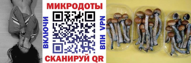 Галлюциногенные грибы ЛСД Злынка