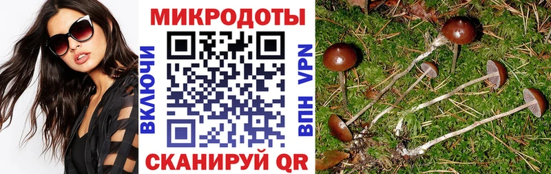 Псилоцибиновые грибы GOLDEN TEACHER  Купить где  Злынка 